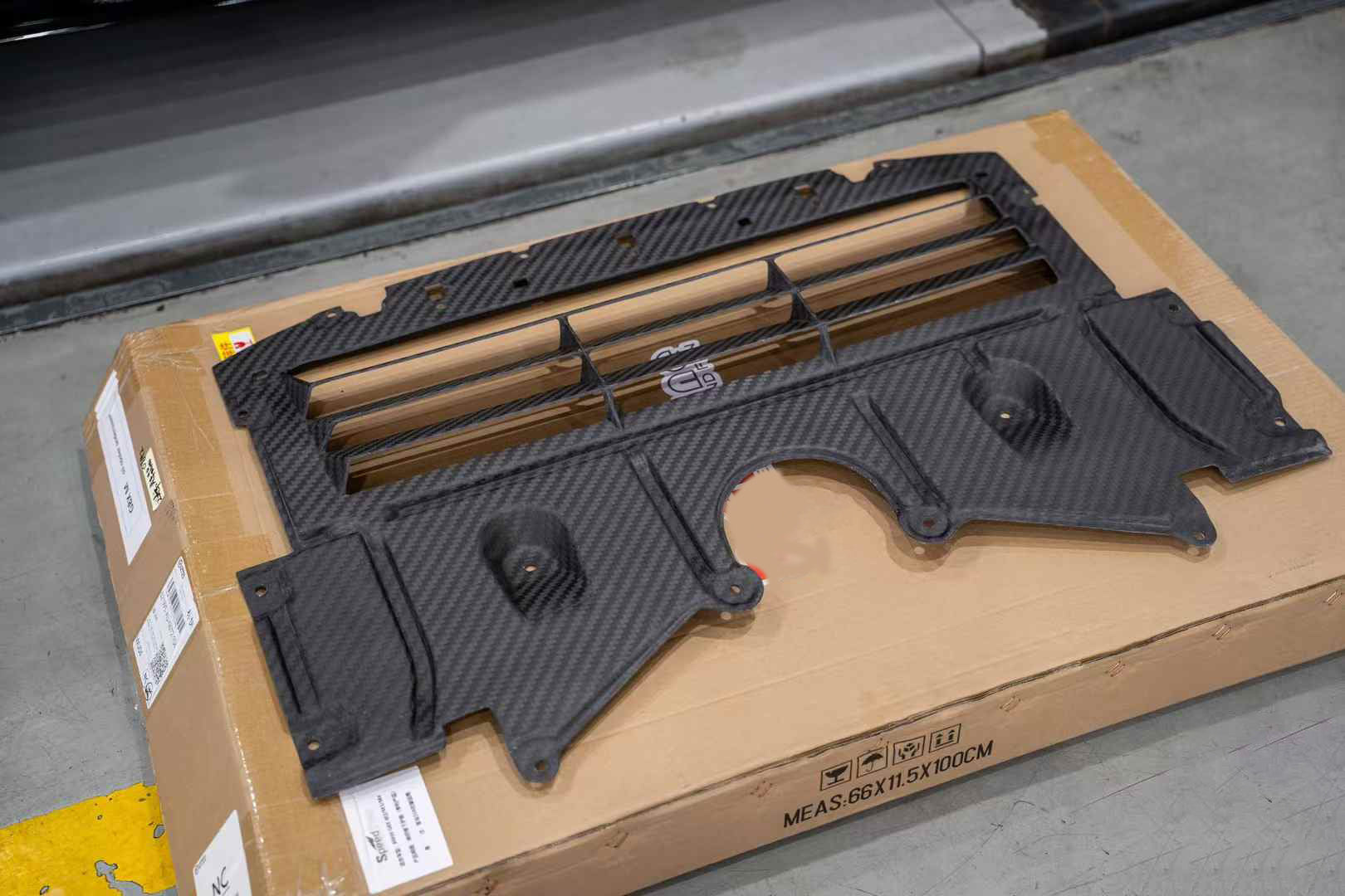 Carbon Fibre Chassis Shield