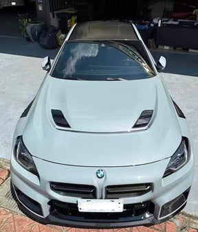 AlphaN V2-style hood for M2 G87